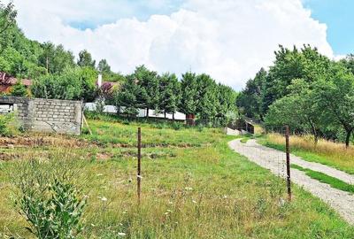 Bran- Predelut, 1000mp teren pentru casa de vacanta, pret 45 euro/mp - 8