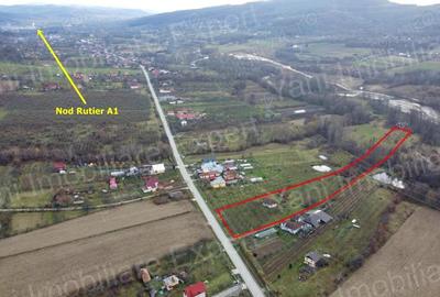 Teren 12.486 mp de vanzare in comuna Cepari, jude? Arge?. - 1