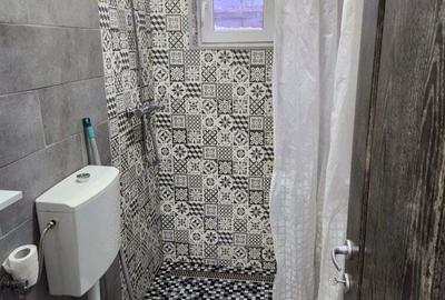 Apartament o camera str Fagului cartier Buna Ziua - 3