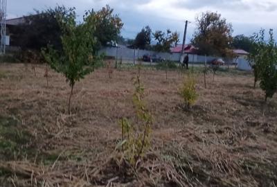 Carligele, jud. Vrancea - 3