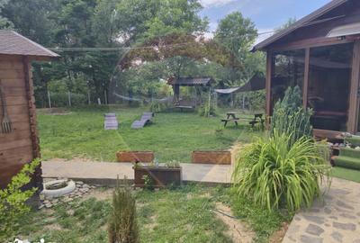 Casă cu 3 camere cu Teren 1268 Mp în Săpânța - 18