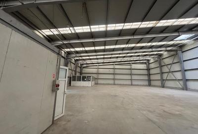 Spațiu comercial, de 1,514 mp, în Șagului - 20