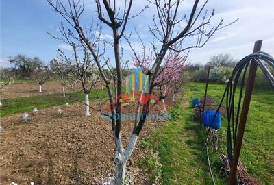 Casă cu 5 camere cu Teren 1387 Mp în Central - 8