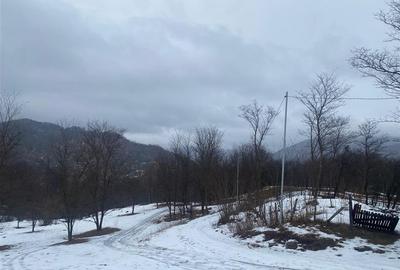 Teren intravilan de 5229 mp, în Șotrile - 6