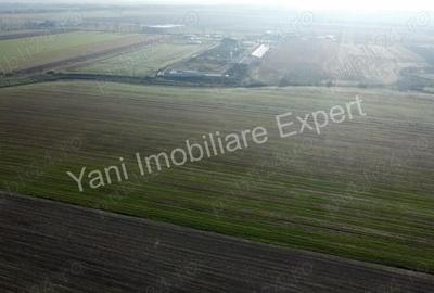 Teren de vanzare in comuna Cateasca, Jude? Arge?. - 4