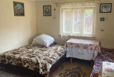 Casă cu 2 camere în Alimpești - 3