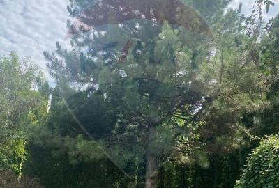 DE VANZARE Vila de vacanta in Pucioasa /Dambovita - 59