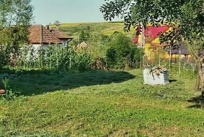 Casă cu Teren 1000 Mp în Central - 13