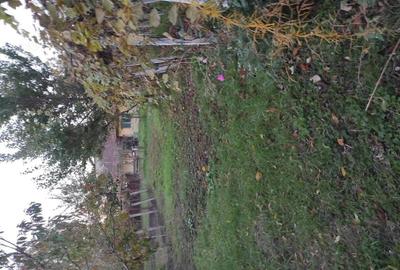 Casa pe un nivel,zona Eminescu - 16