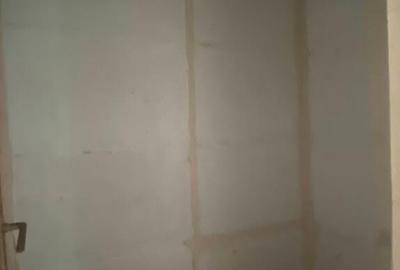 Ap 3 cam Eremia Grigorescu, 69500 euro - 10