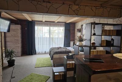 Spatiu de inchiriat - 2