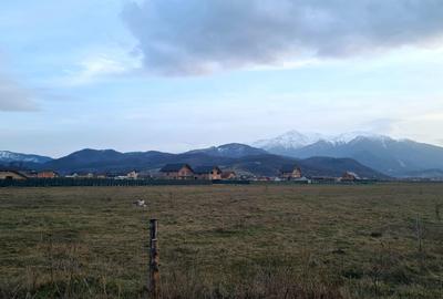 Teren Construcții intravilan de 1049 mp, în Râșnov - 5