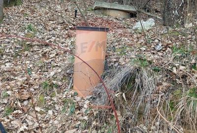 Teren Construcții intravilan de 2710 mp, în Schei - 15