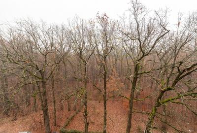 Apartament 2 camere, Gavana - 8