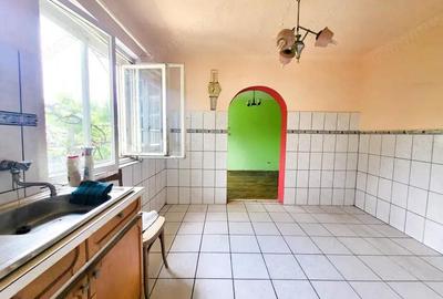 Casa 3 camere, Strada Izvorului, 306mp curte - 6