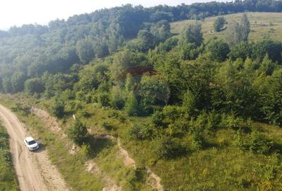 Teren de vanzare in Salicea, 10000 MP , Zona Moara de vant! - 6