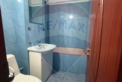 Garsonieră decomandata Valea Roșie - 10