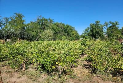 Casă în Văcăreasca - 6