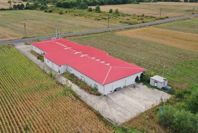 Spațiu comercial, de 1,241 mp, în Dezna - 3