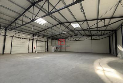 Depozit/hala/spatiu industrial Theodor Pallady - Gara Catel - 3