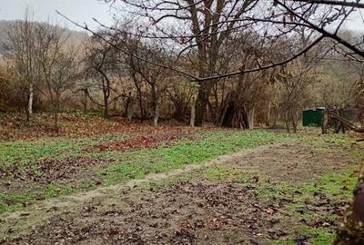 Casă cu 4 camere în Copăcelu - 1