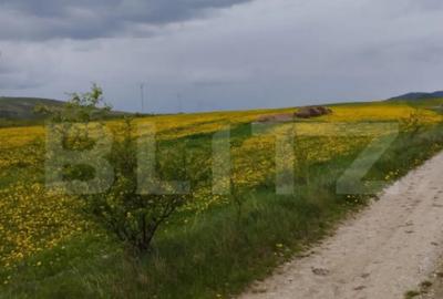 Teren de 3621 mp, în Petrești - 1