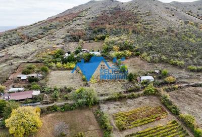 Teren intravilan NICULITEL, zona deosebita, 3044MP - 9