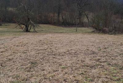 Teren de 3140 mp, în Petriș - 4