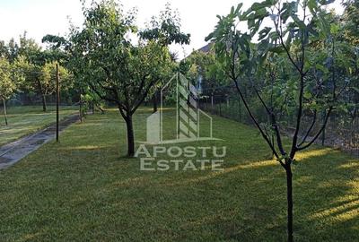 Casa  5 camere, curte, gazon livada in Gradiste - 20