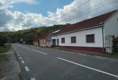 Casă cu 3 camere cu Teren 3000 Mp în Fârliug - 8