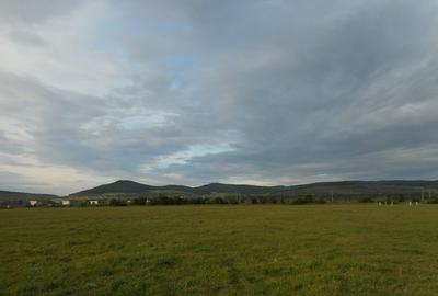 Teren ALBA, AIUD - 2