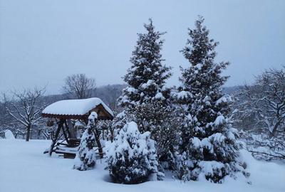 Casă în Sibiel - 5