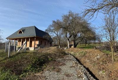 Casă cu Teren 2700 Mp în Livada (Petreștii de Jos) - 4