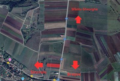 Teren Construcții intravilan de 7400 mp, în Ilieni - 2