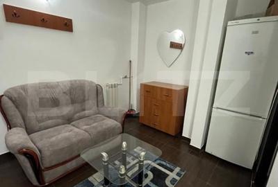 Apartament de inchiriat, cu 1 camera, zona LIDL Tatarasi - 3