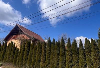 Casă cu 4 camere cu Teren 700 Mp în Central - 7