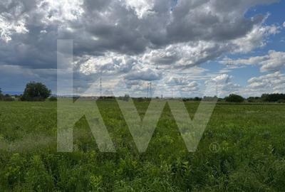 Teren extravilan arabil de vanzare – Bungard, Șelimbar - 3