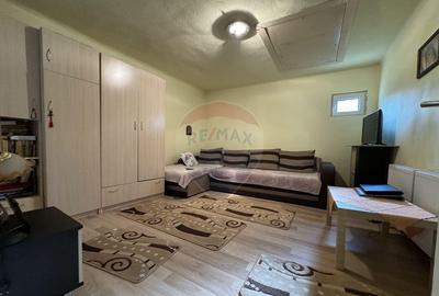 Casa in cartierul Vasia - 4