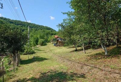 Cabana, anexe si 2000 mp teren intravilan in Taratel, Brad - 14