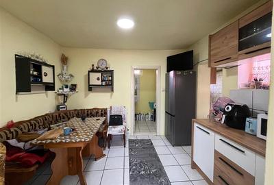 Casă individuală cu 4 camere cu Teren 2935 Mp în Belinț - 14