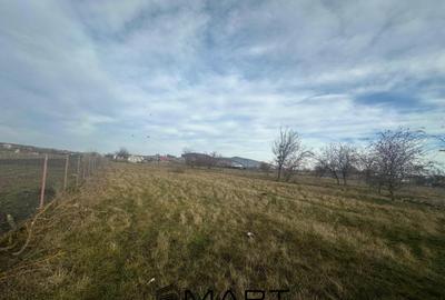 Teren Intravilan 865 mp Sanpetru - 2