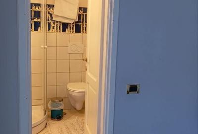 Casă cu 4 camere cu Teren 230 Mp în Ultracentral - 14
