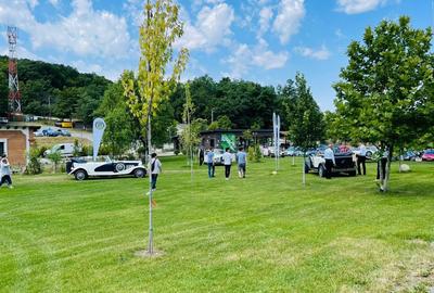 Proprietate specială, de 1,537,099 mp, în Herneacova - 26