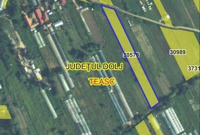 Spațiu comercial, în Teasc - 2