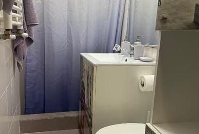 Apartament 2 camere in curte proprie, Viilor/ Parcul Carol - 8