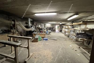 Spațiu industrial, de 840 mp, în Vest - 12