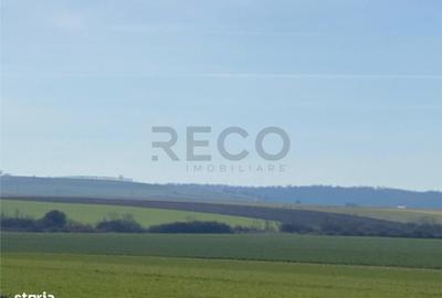 Teren de 42050 mp, în Tăut - 2