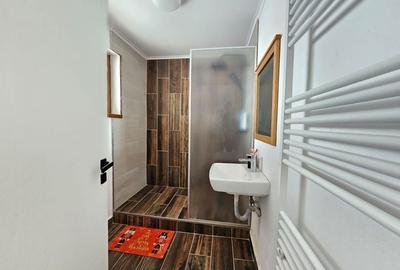 CASA DE INCHIRIAT IN SANPETRU - 15