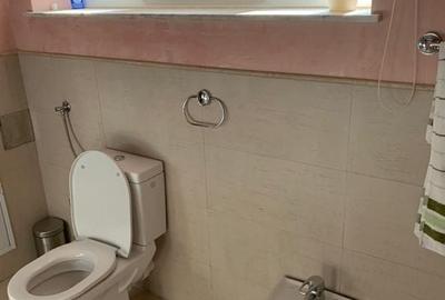 Apartament 3 camere de inchiriat Eminescu - 11