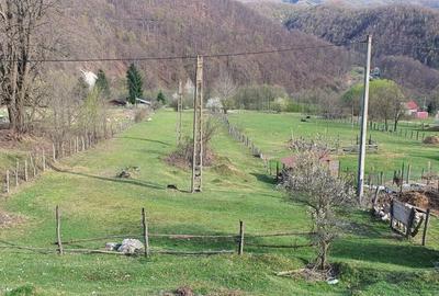 Teren de 8674 mp, în Călugăreni - 8